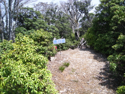 c0179351_19233778.jpg