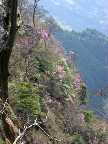c0179351_19255730.jpg