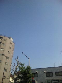 d0003551_821974.jpg