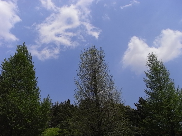 c0113755_024325.jpg