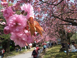 c0208355_1393049.jpg