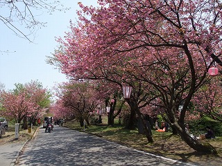 c0208355_1394029.jpg