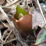 c0097856_23315940.jpg