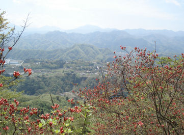 d0059661_2393992.jpg