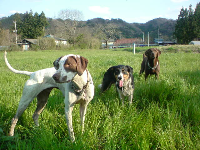 d0093462_1326316.jpg