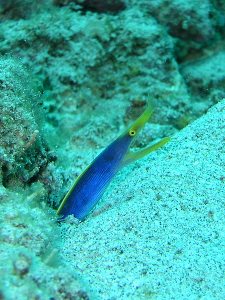 b0062363_19145588.jpg