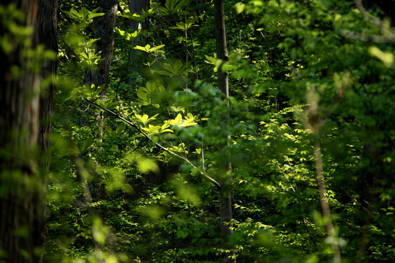c0183164_17383484.jpg