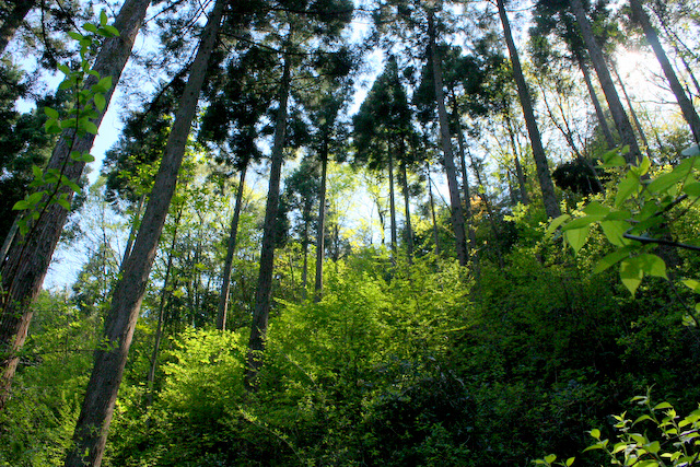 c0183164_174342100.jpg