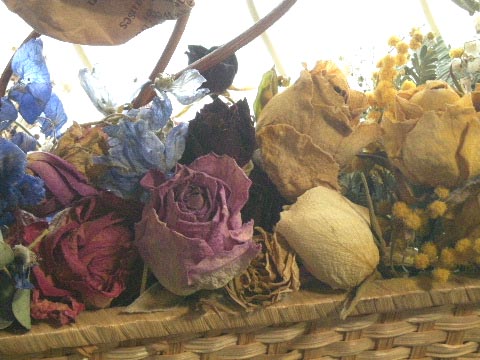 e0086864_2203379.jpg