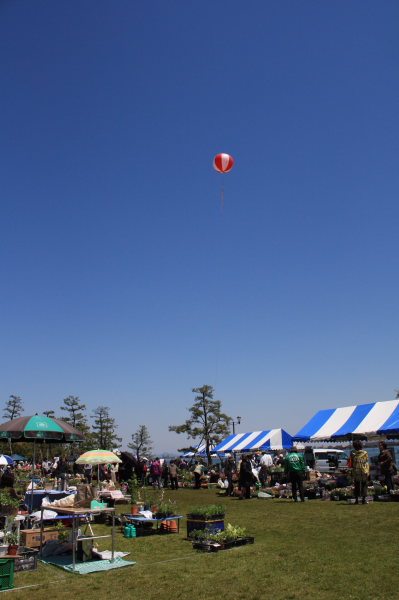 b0055171_16124444.jpg