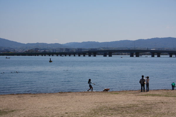 b0055171_16175537.jpg