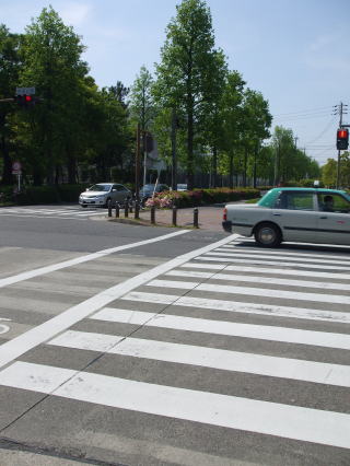 e0161972_20201251.jpg