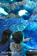 c0145274_78987.jpg