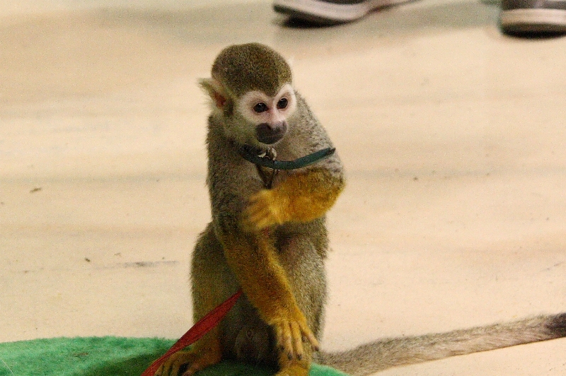 a0016775_230074.jpg