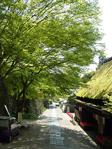 c0107075_21431040.jpg