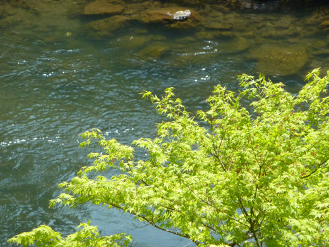 c0107075_21564513.jpg