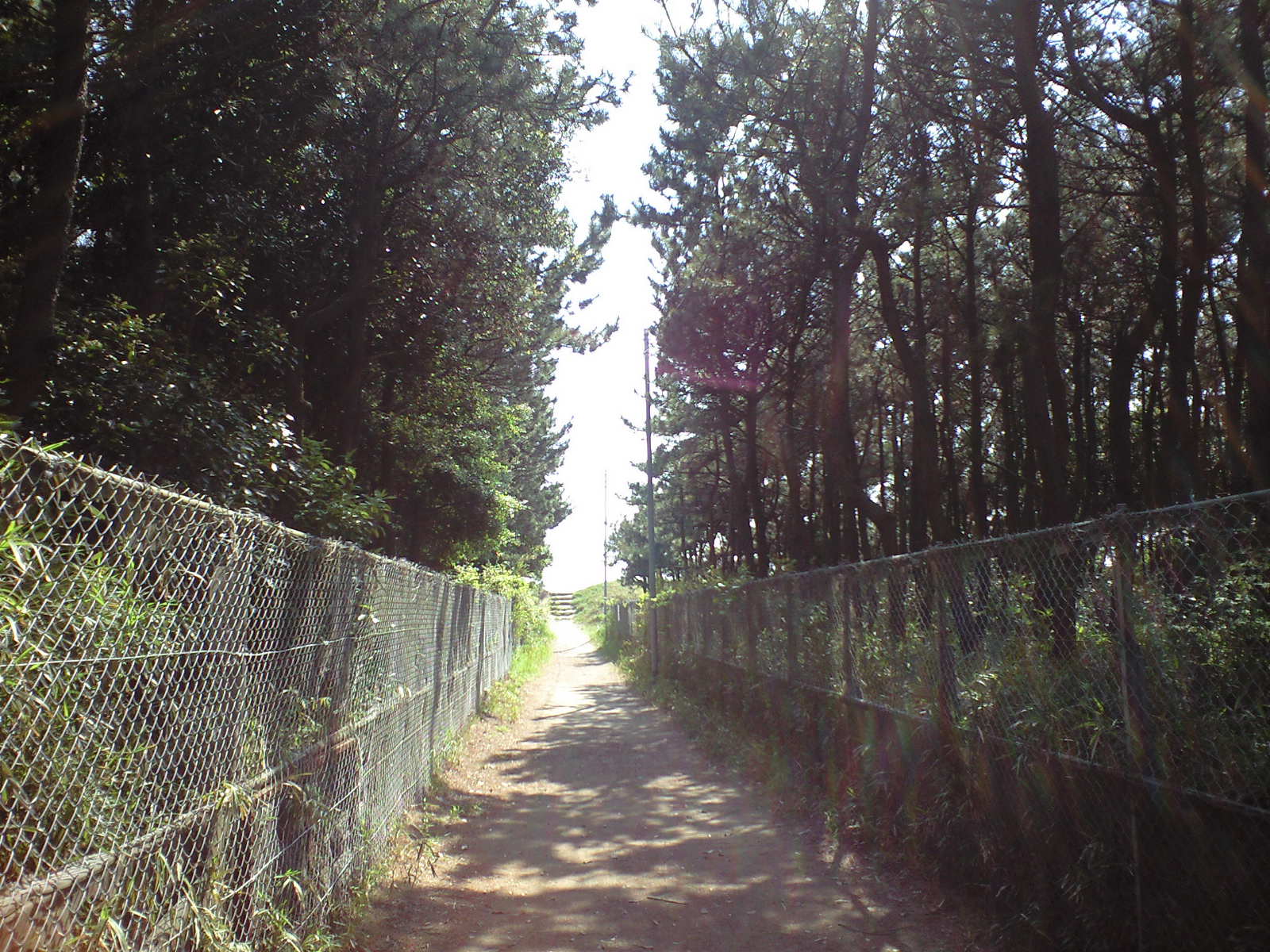 a0152078_19254299.jpg