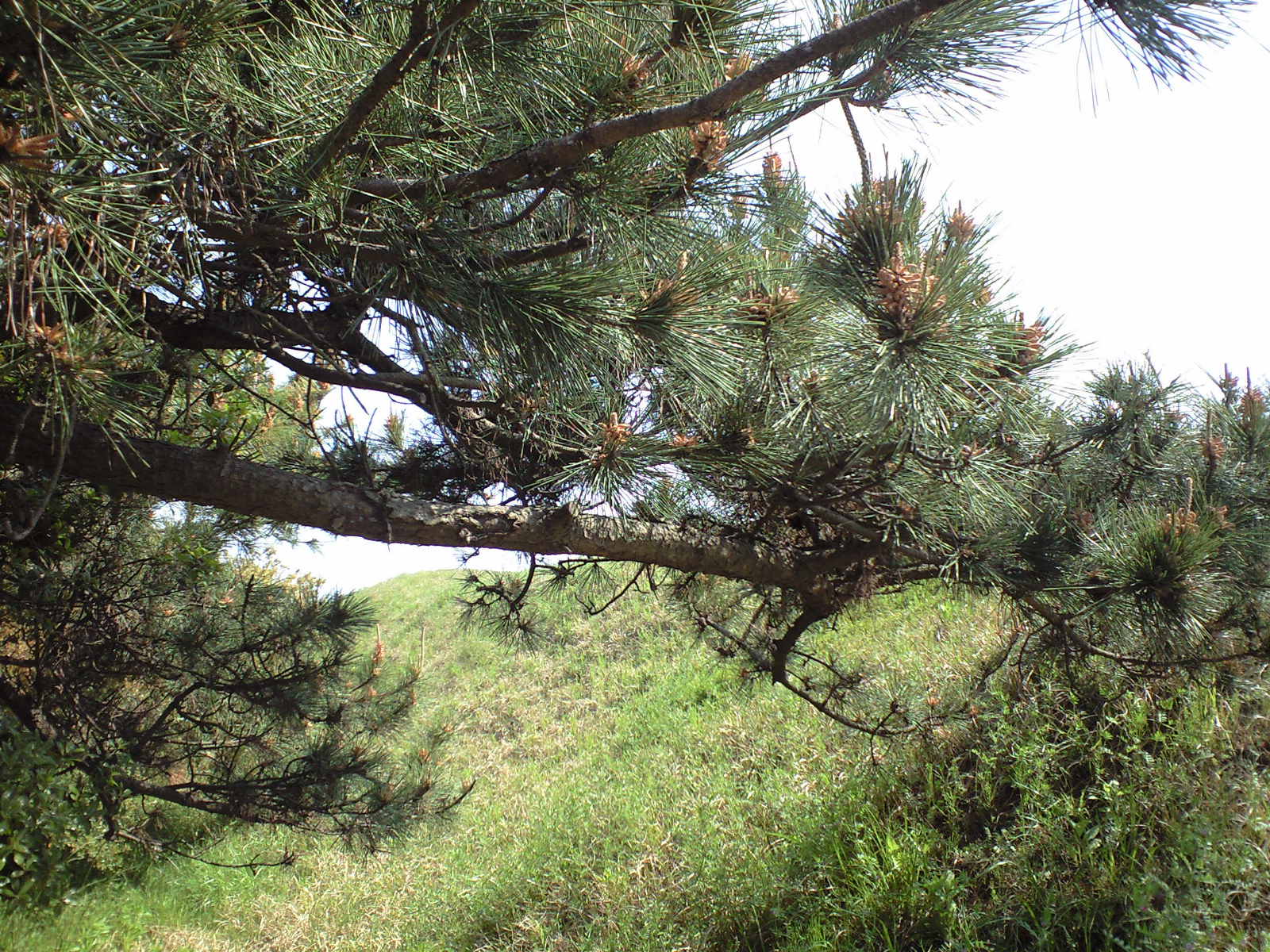 a0152078_19265891.jpg