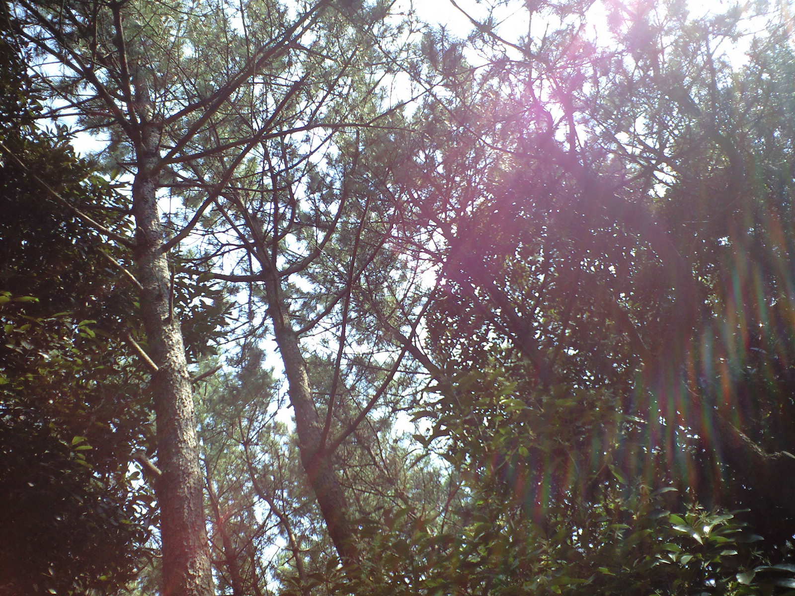 a0152078_1926663.jpg