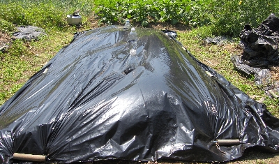 f0003283_1314886.jpg