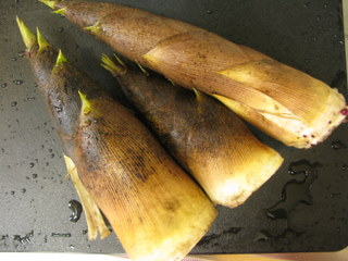 e0165285_129339.jpg