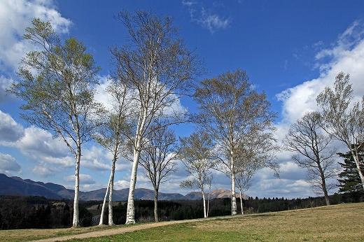 e0190885_1852942.jpg