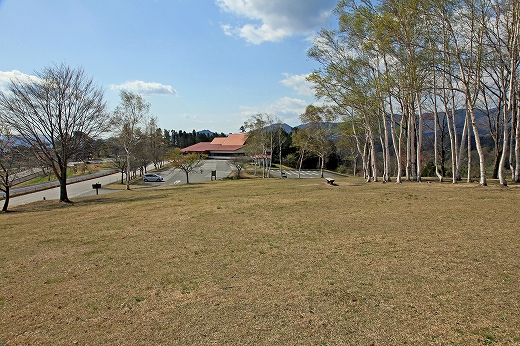e0190885_1853563.jpg