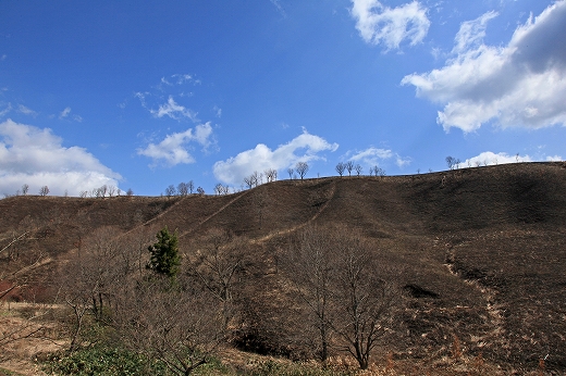 e0190885_185432.jpg