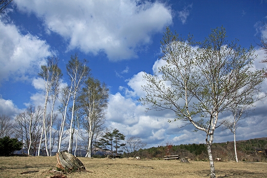 e0190885_186153.jpg