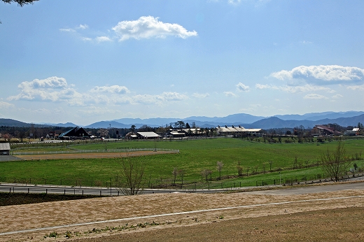 e0190885_1862759.jpg