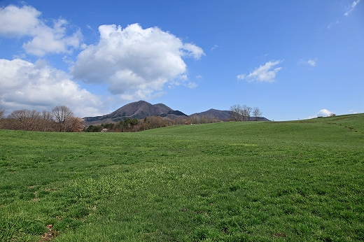 e0190885_1864026.jpg