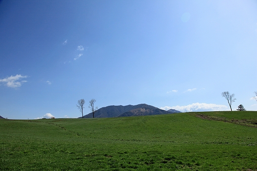 e0190885_1864581.jpg