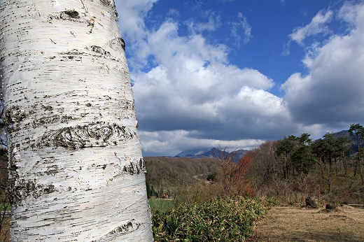 e0190885_186990.jpg