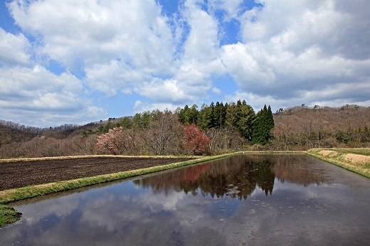 e0190885_1875423.jpg