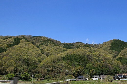 e0190885_188728.jpg