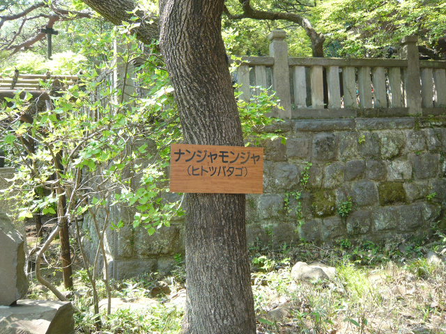 d0087091_21474271.jpg