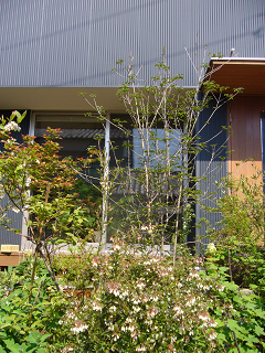 b0100094_1234129.jpg