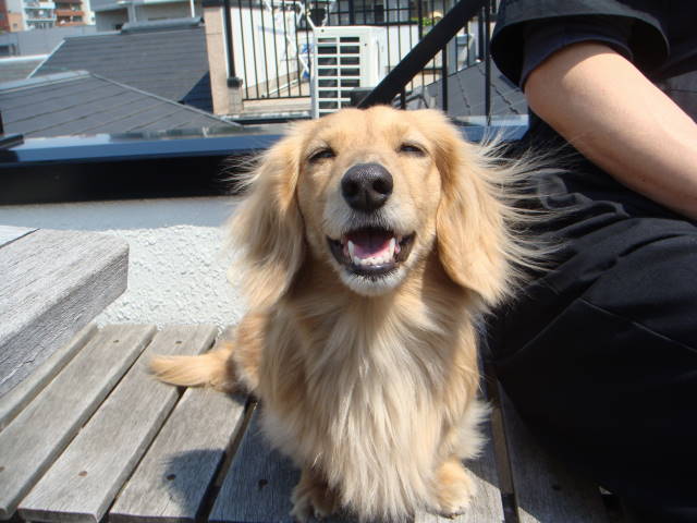 d0098295_22454151.jpg