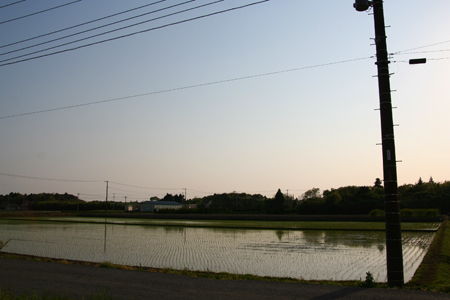 d0100095_21395631.jpg
