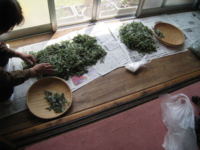 d0056197_204010100.jpg