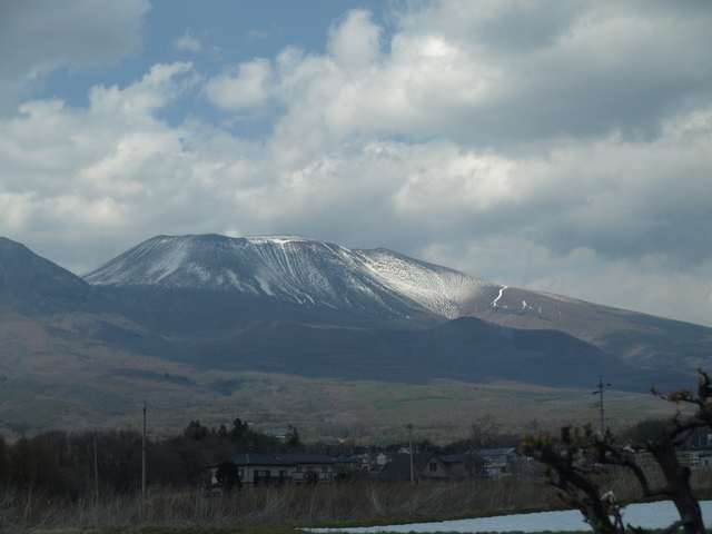 a0170098_16485263.jpg