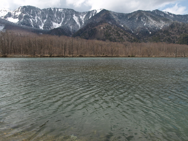 a0170098_173281.jpg