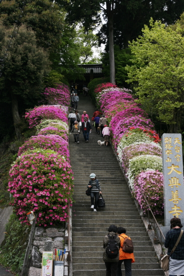 c0129498_0312875.jpg