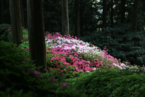 c0129498_0345451.jpg