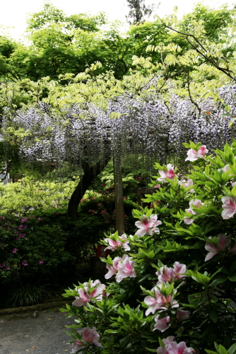 c0129498_034827.jpg