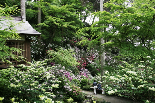 c0129498_0351981.jpg