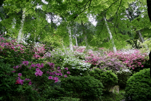 c0129498_1423898.jpg