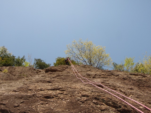 c0147398_2330015.jpg