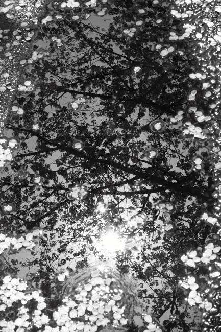 c0044199_2119566.jpg