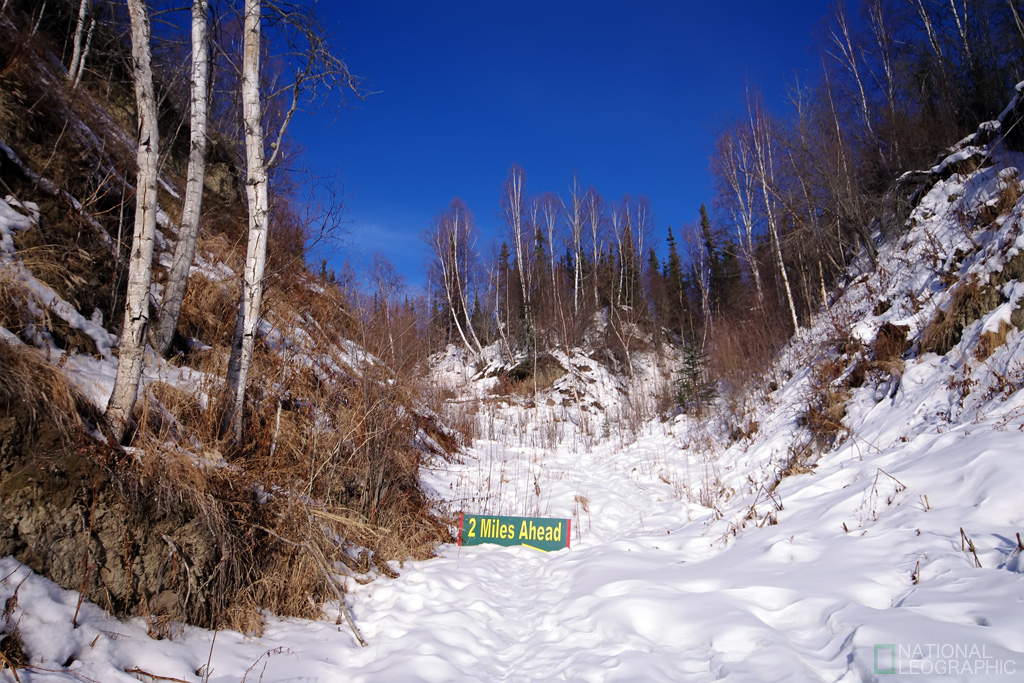 c0080101_1951768.jpg